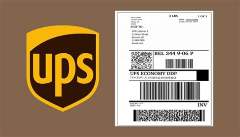 Can UPS Access Point Print Labels: A Journey Through the Maze of Modern Logistics