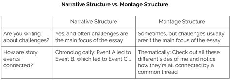 what is a montage essay: exploring the structure and purpose of this cinematic technique in writing